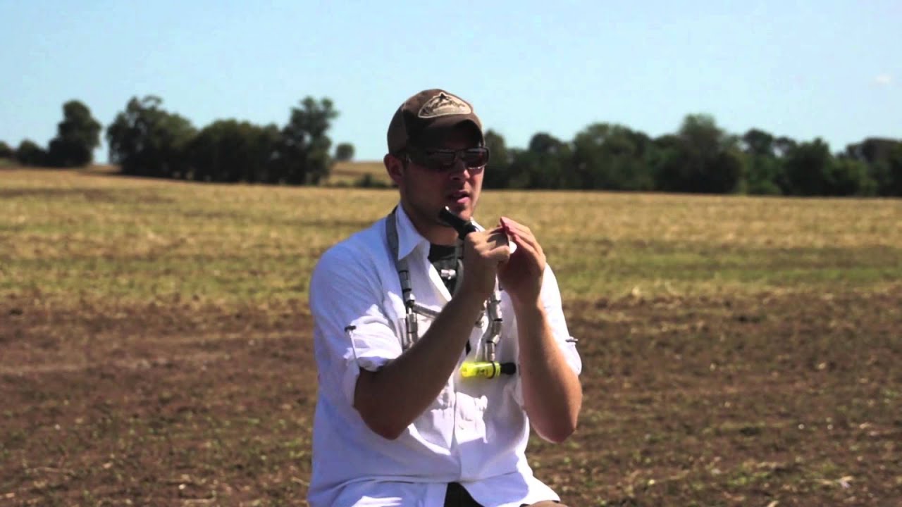 Goose Calling The Double Cluck