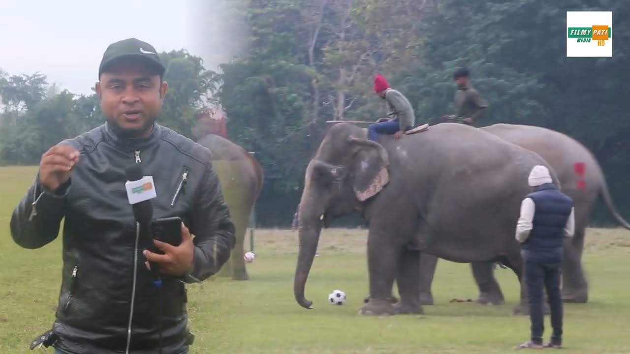 सौराहामा हात्तीलाई यसरी गराईदैछ पेनाल्टी अभ्यास