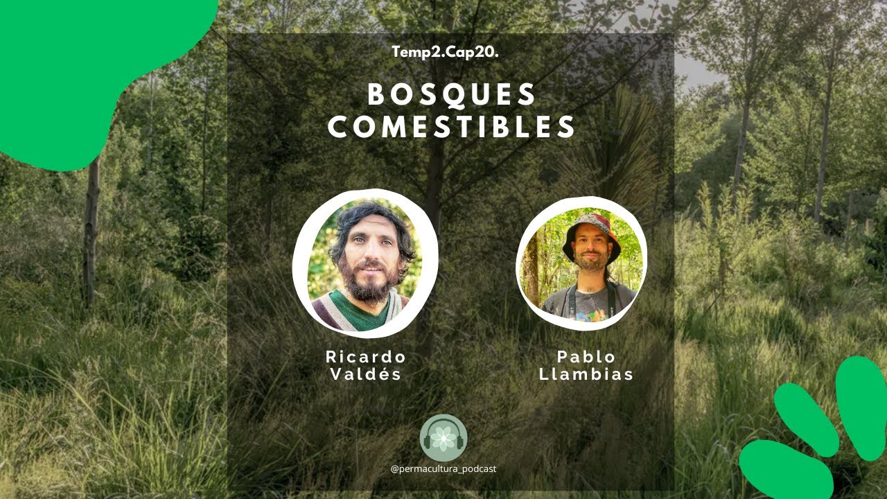 T2E20 - Bosques comestibles / Ricardo Valdés