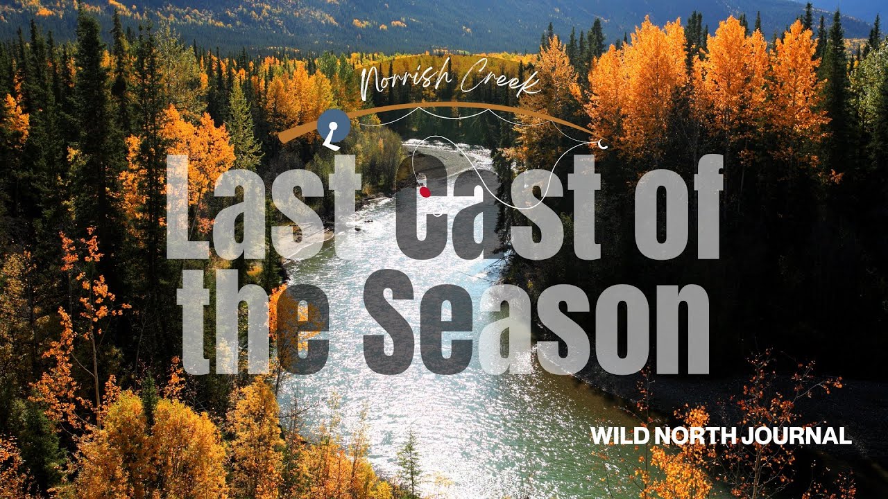 Last Day of Salmon Season | Limiting out on Coho