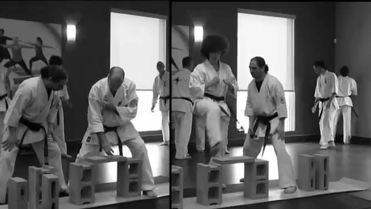 Tameshiwari, avril 2014, Dojo Alessandro Bartoli Kyokushin Karate Montreal