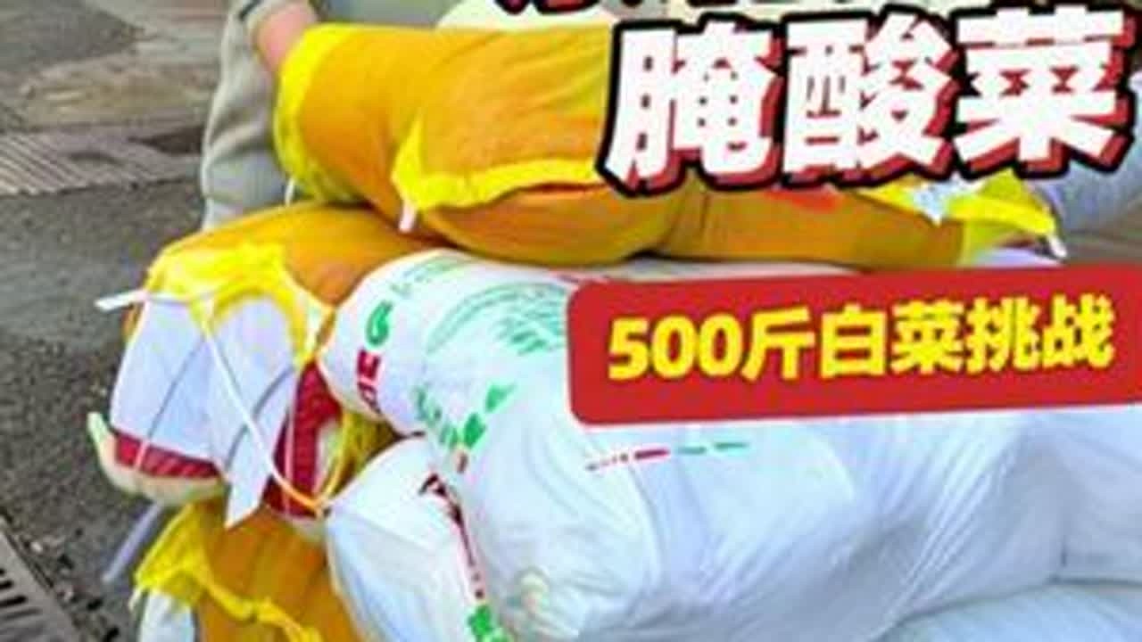 东北老公买500斤白菜在南方腌东北酸菜 这酸菜能成功吗？#南北差异#腌酸菜#东北美食 #酸菜#南北饮食大不同