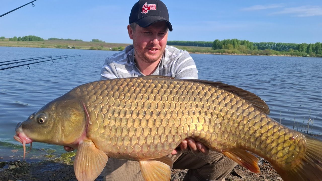 Рыбалка на карпа Панфилово Кемеровская область Яркуль carp 54 rus