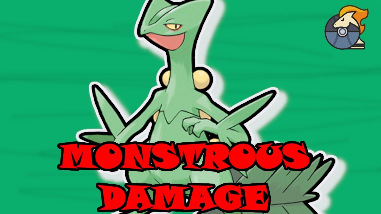 RANGED SCEPTILE CARRY | FIRST PARTNER | SMEARGLE SCRIBBLE - Pokemon Auto Chess