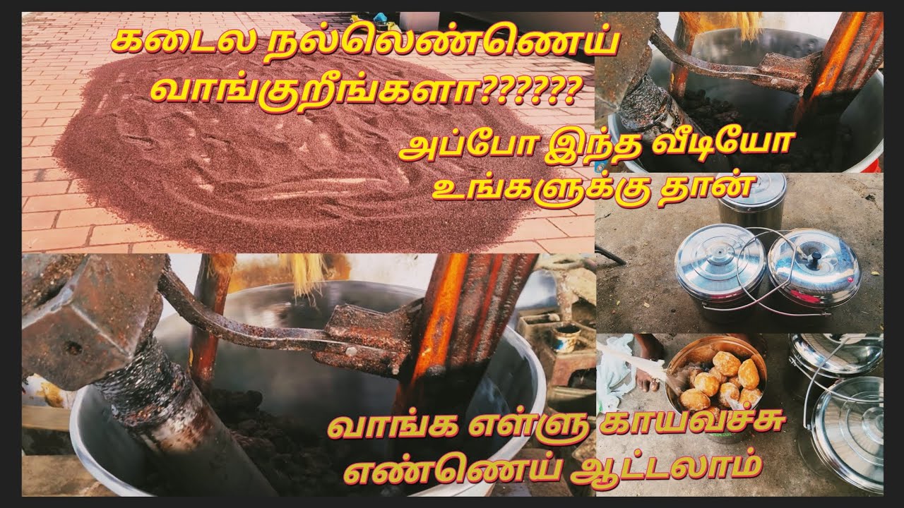 எள்ளு காயவச்சு எண்ணெய் ஆட்டலாம் daily vlog #trending#healthylifestyle#nutritionfood#vivasayam#vlogs 