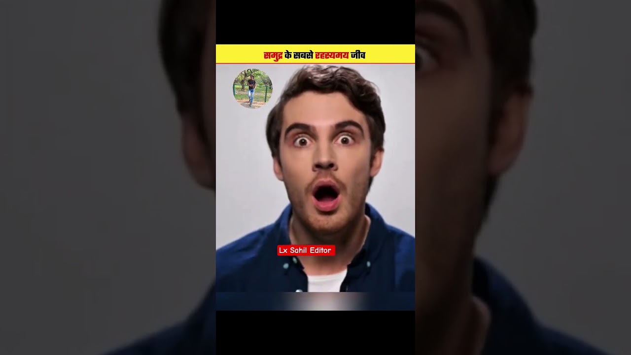 Three Mysterious Creatrures Off The Deep Set 