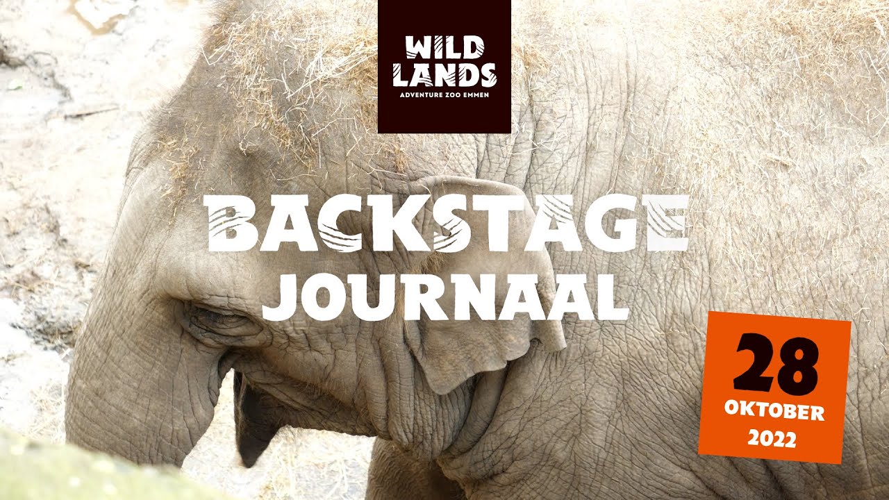WILDLANDS Backstage Journaal 28 oktober 2022