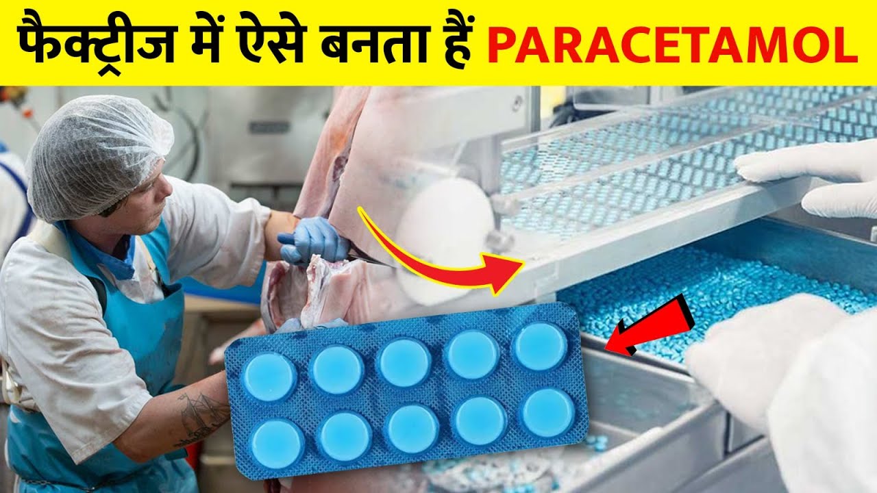 फैक्ट्री में कैसे बनता है पैरासिटामोल - How Paracetamol Is Made In The Factory | Paracetamol Making