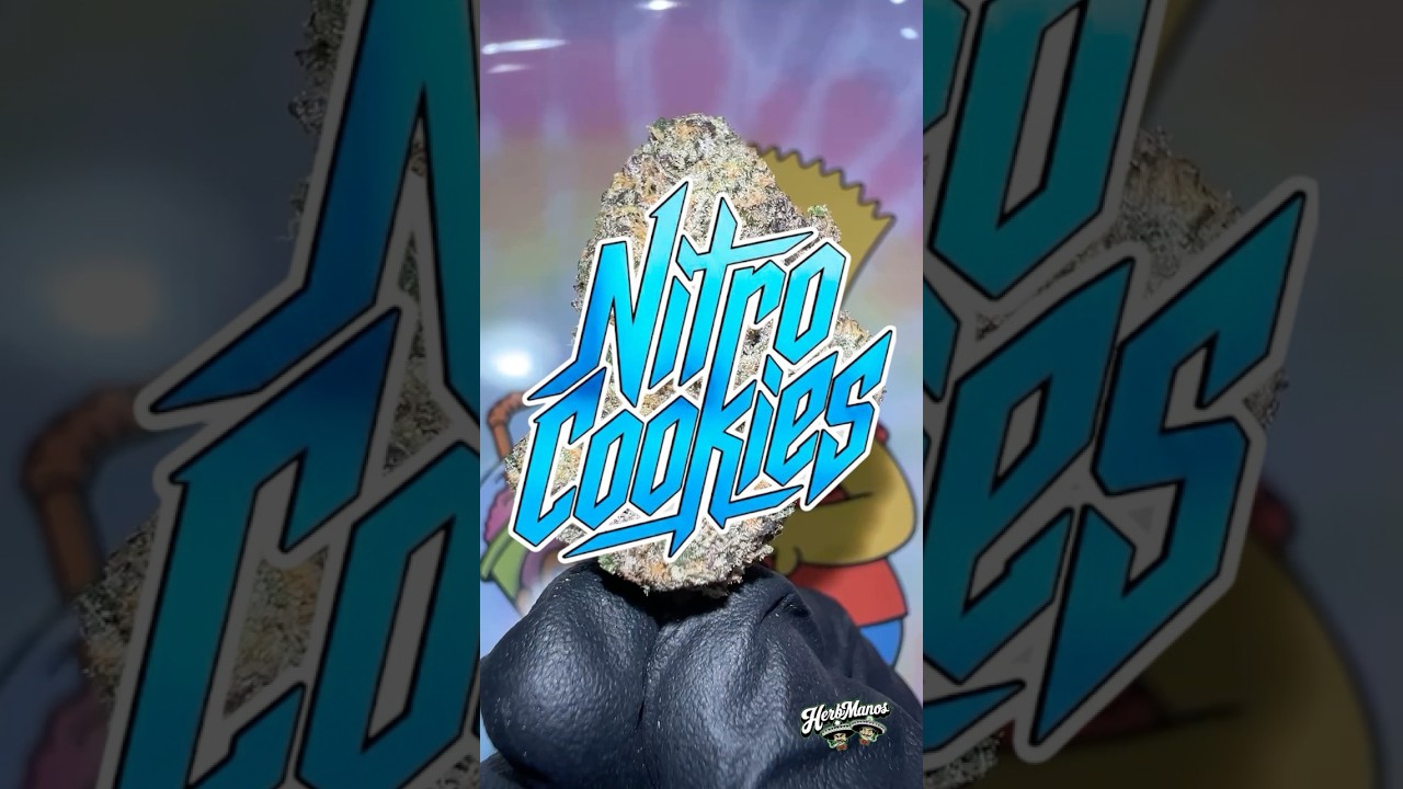 HerbManos | Nitro Cookies - (Blue Cookies X Sherb) Indica Hybrid #shorts