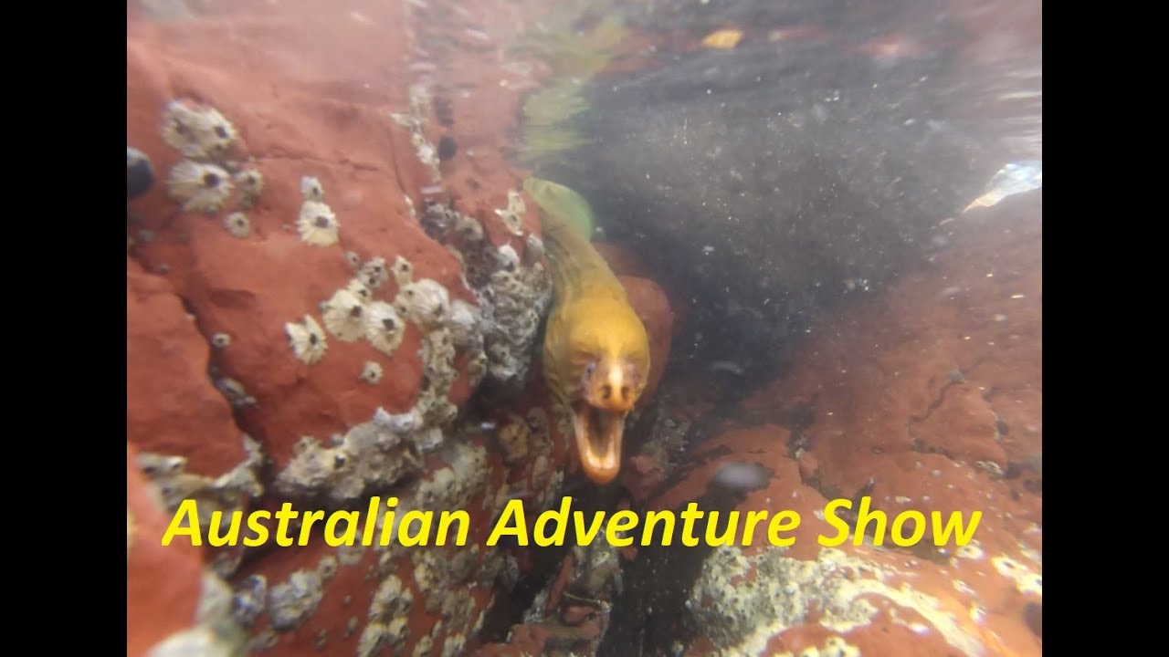 All Australian Adventures - BBA EP1