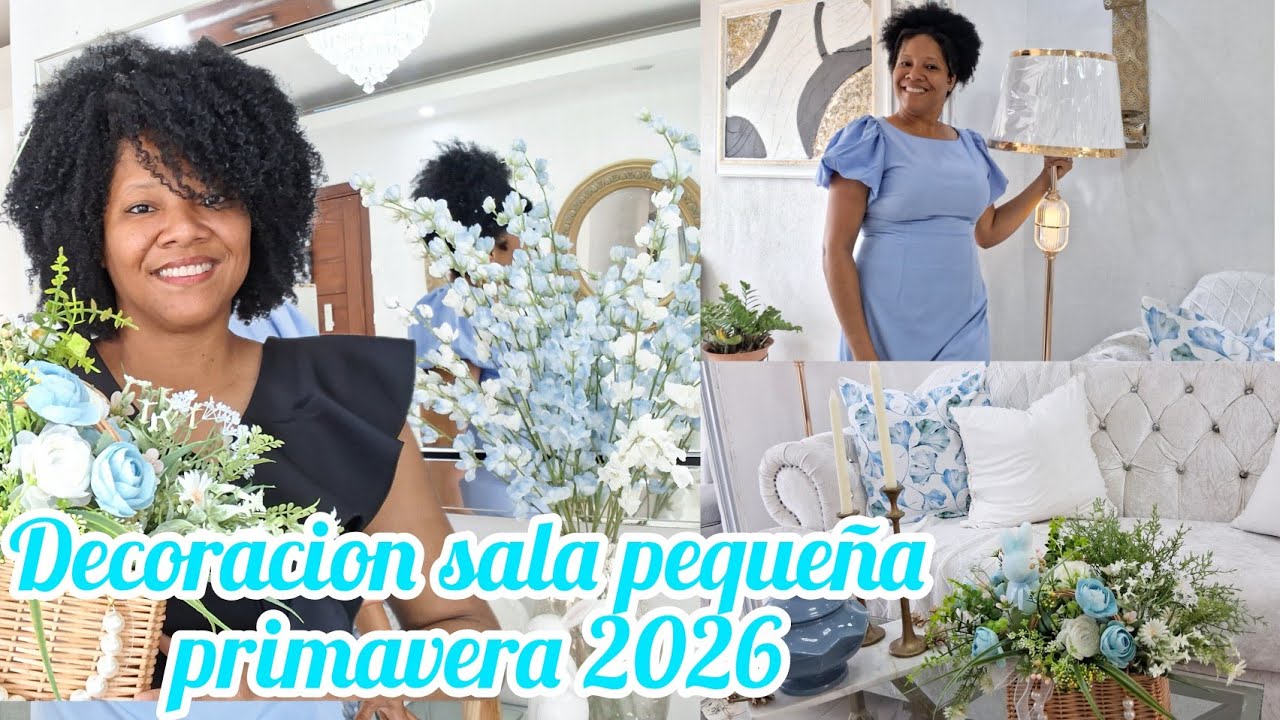 Decoración SALA pequeña  primavera2026/primavera 2026