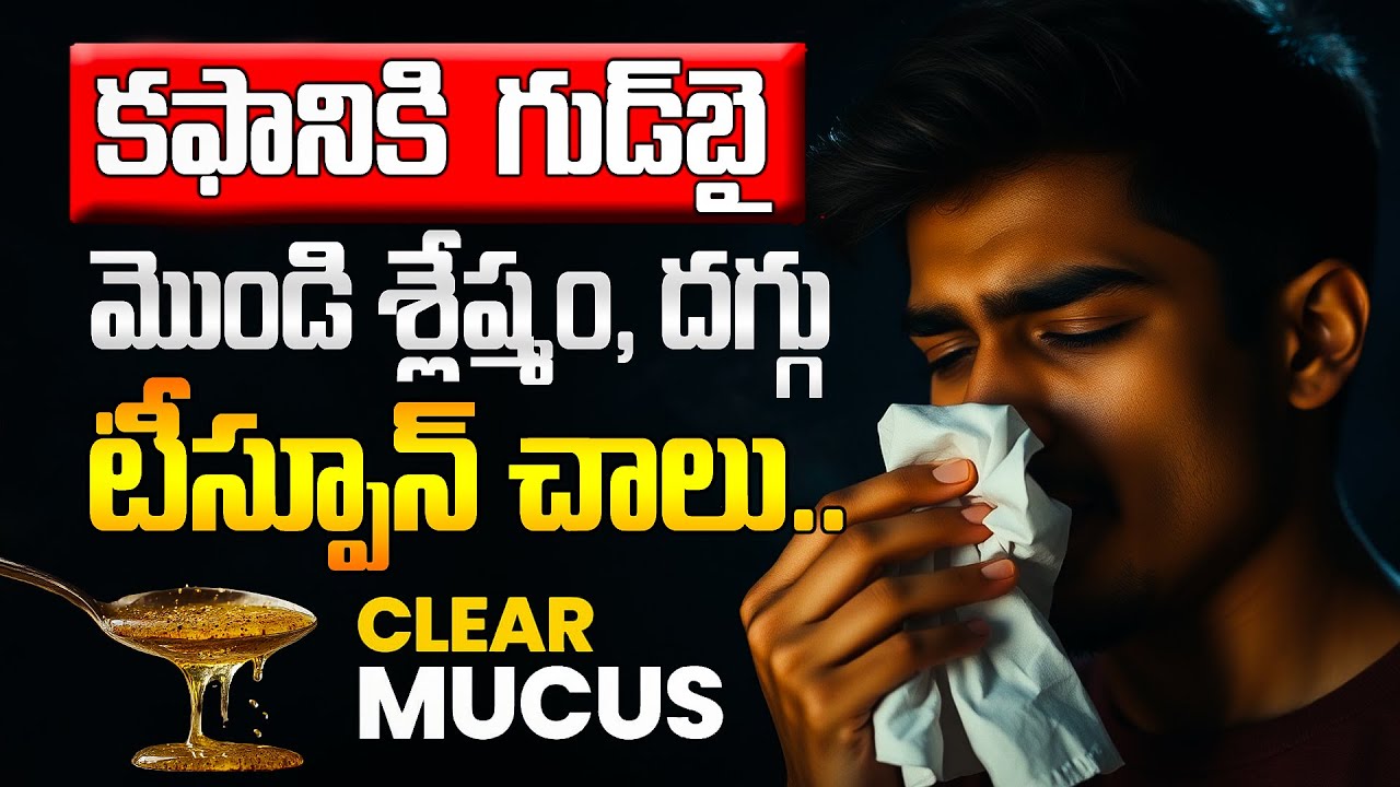 ఒక్క టీస్పూన్‌తో కఫం గుడ్‌బై! | Natural Lung Cleanser Tip