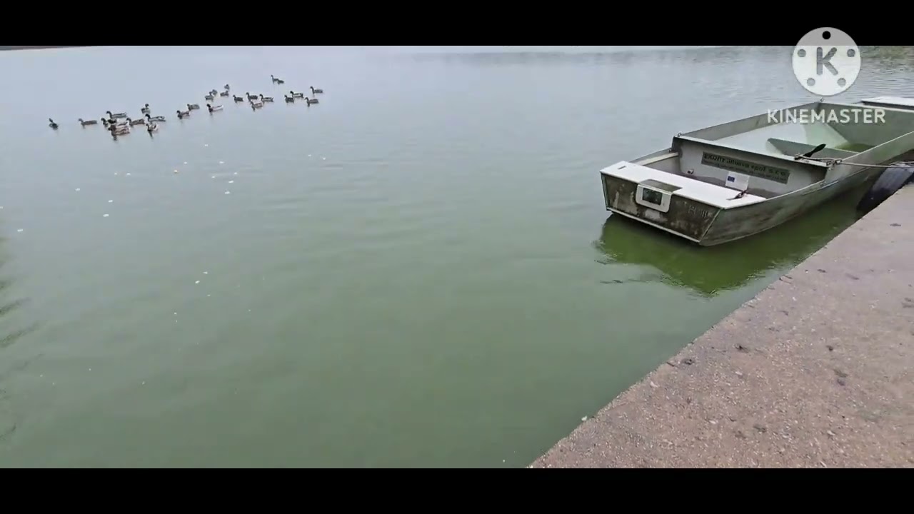 280. В Чехию пришла БОЛЬШАЯ ВОДА. 14.09.2024
