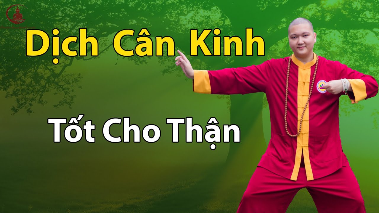 30 Ngày Tập Dịch Cân Kinh: Trị Gan, Thận, Mất Ngủ