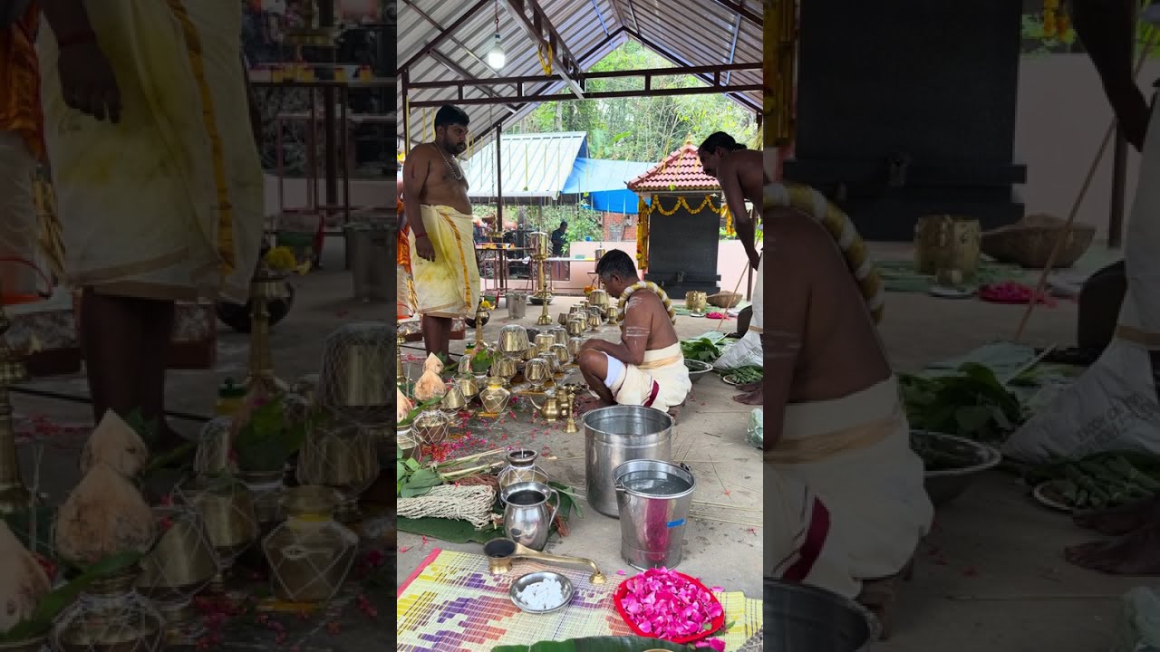 കുംഭരണി 2026 വരിക്കശ്ശേരിൽ ശ്രീ ഭഗവതി ക്ഷേത്രം ആനിക്കാട്,കലശം,പൊങ്കാല,വലിയഗുരുതി🙏🏼part 1