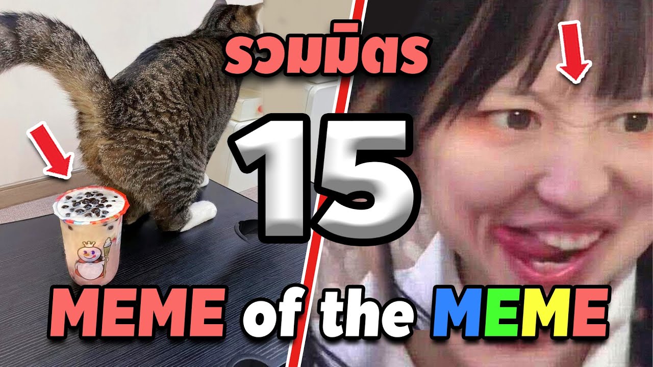 รวมมิตร ภาพนี้ก็ฮาเหมือนกันนะเนี้ย #15 SS2 [ พากย์นรก MEME.EXE ] | easy boy