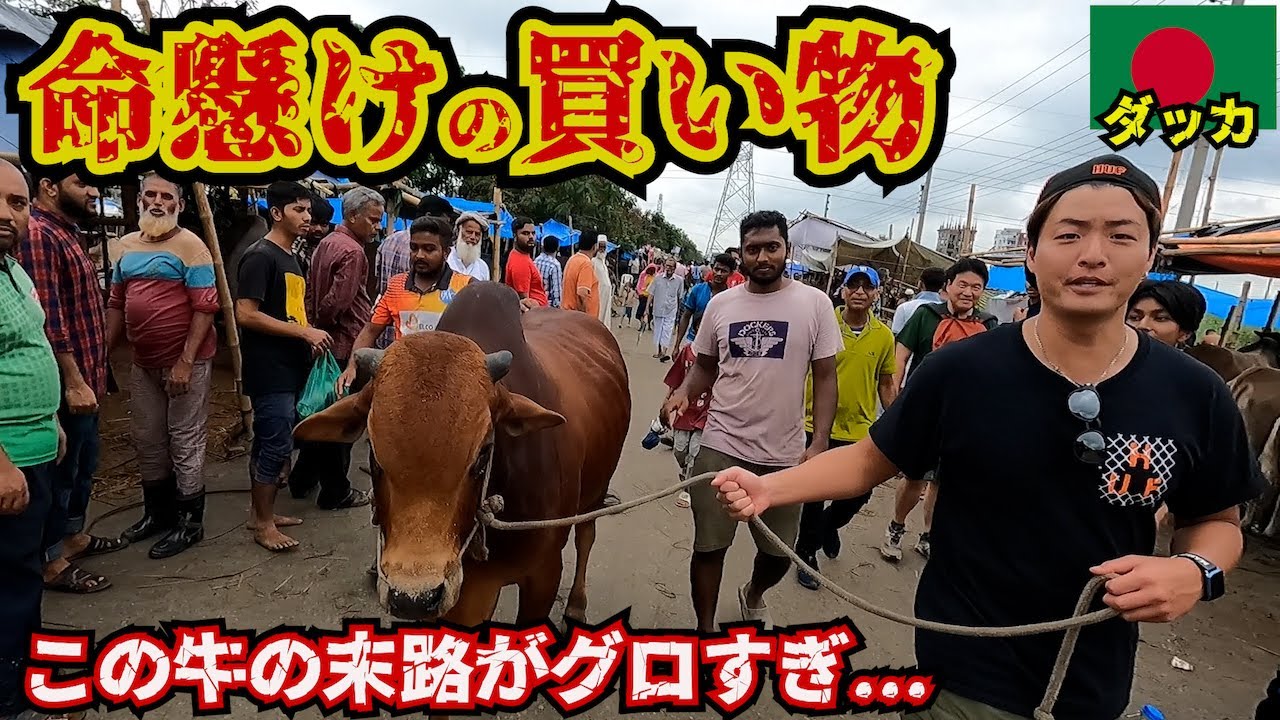 【異次元の祭】イスラム教最大の祝祭「イード」(犠牲祭)の為に牛買いに行ったら地獄見た。inバングラデシュ