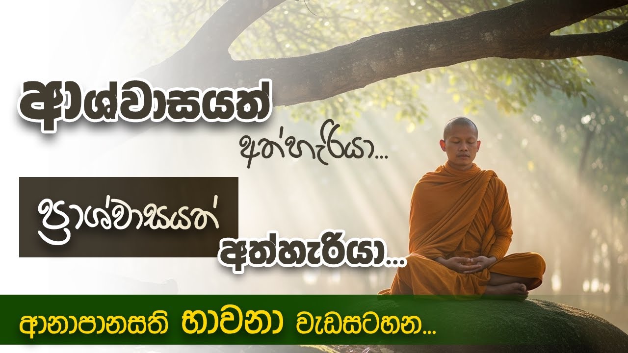 ආශ්වාසයත් අත්හැරියා, ප්‍රාශ්වාසයත් අත්හැරියා - ආනාපානසති භාවනා වැඩසටහන... | Niwan Dakimu