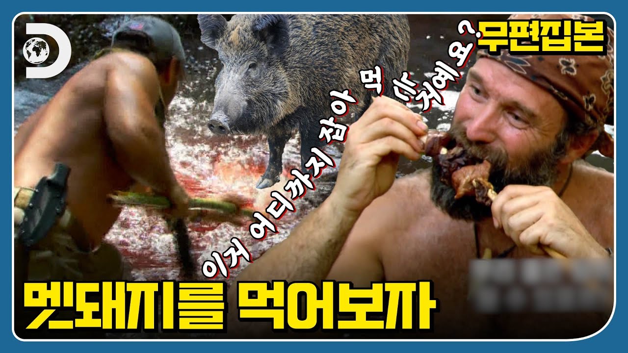 Необитаемый остров? Дикий кабан? Разве это не просто еда? 🤭 Что произойдёт, когда встретятся два ...