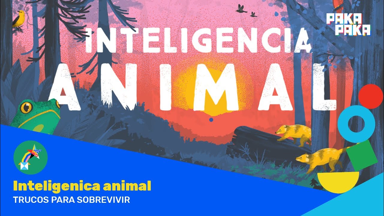 Inteligencia Animal -  Cap. 1: Trucos para sobrevivir - Pakapaka