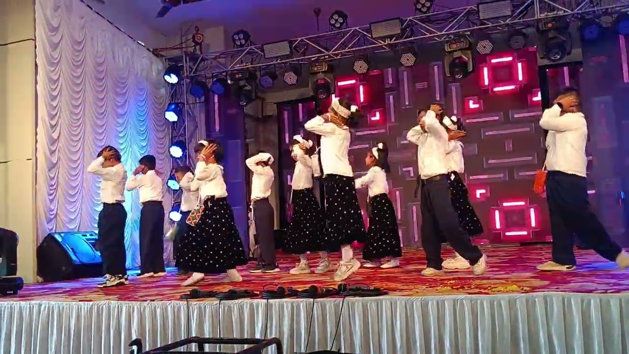 SN school kayamkulam annual celebration 