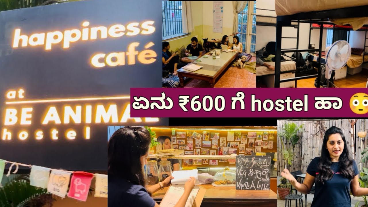 Most peaceful cafe &hostel  in Bangalore😍| hostel stay starts @₹600| coolest cafe in Koramangala 😍