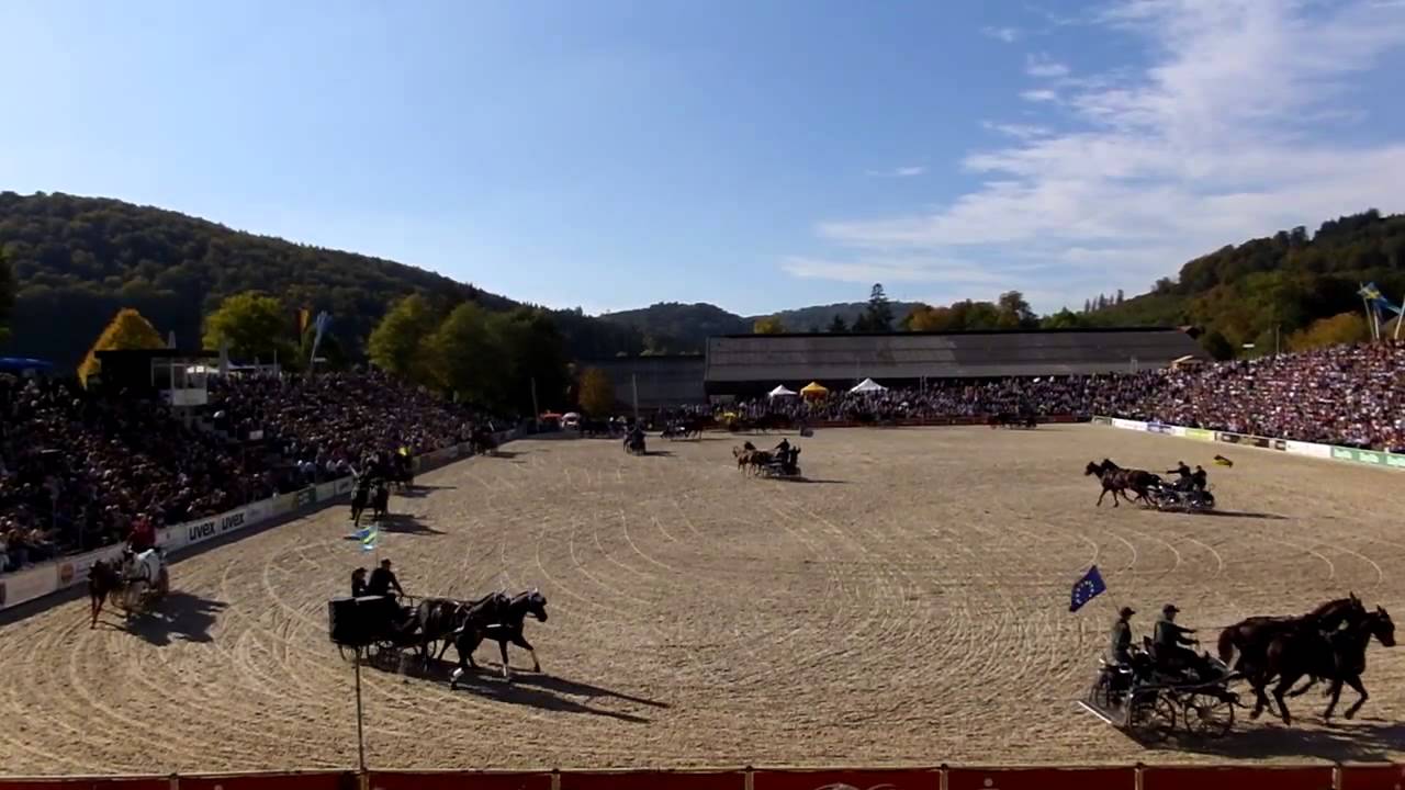 Rasante Fahrt bei der Hengstparade in Marbach 2015