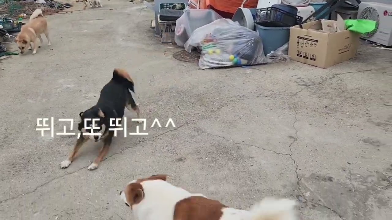 하루를,그렇게 간절하게 원하는..밖의,세상이 .너희들의 전부 이구나ㅜㅜ