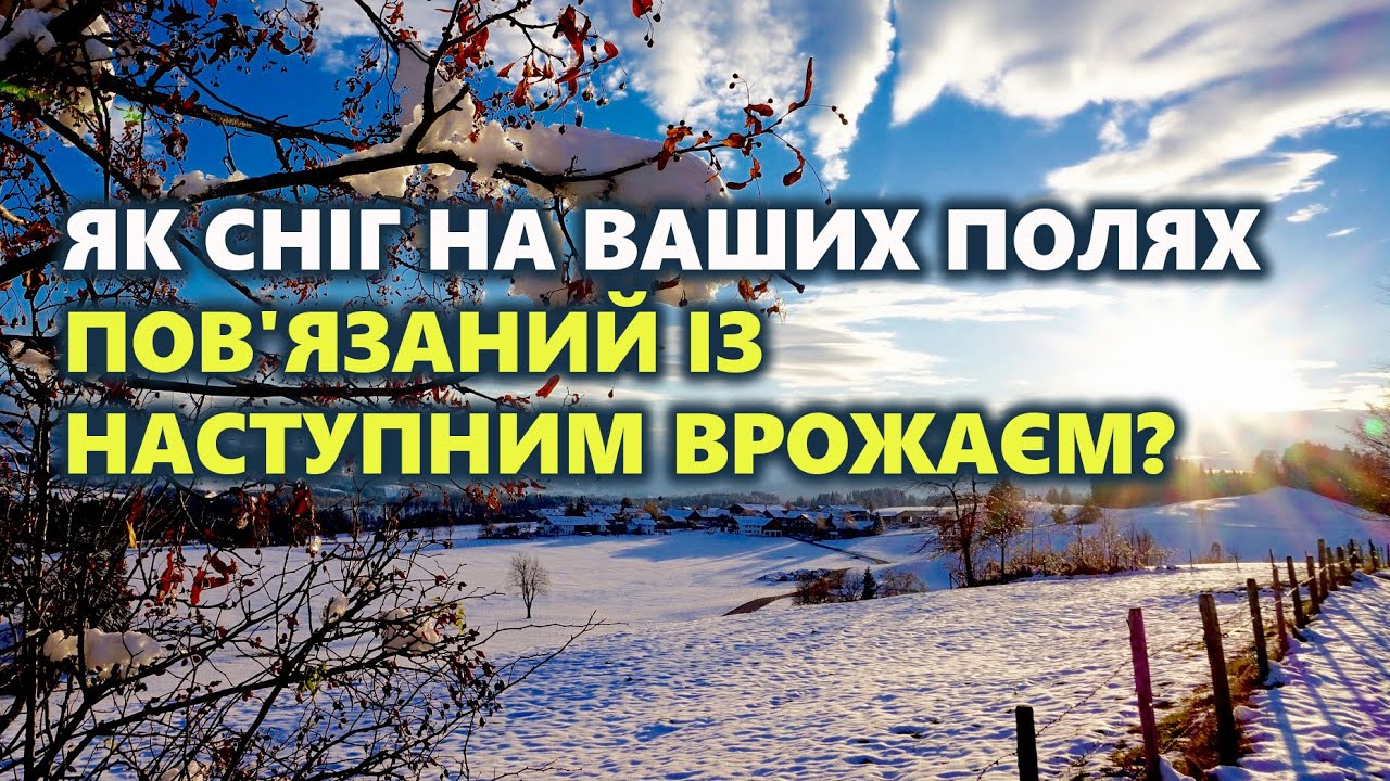 Про сніг і врожай. Про ЯРОС, Гарвард і корпоративну агрономію. Про процвітаючу Країну Україну.