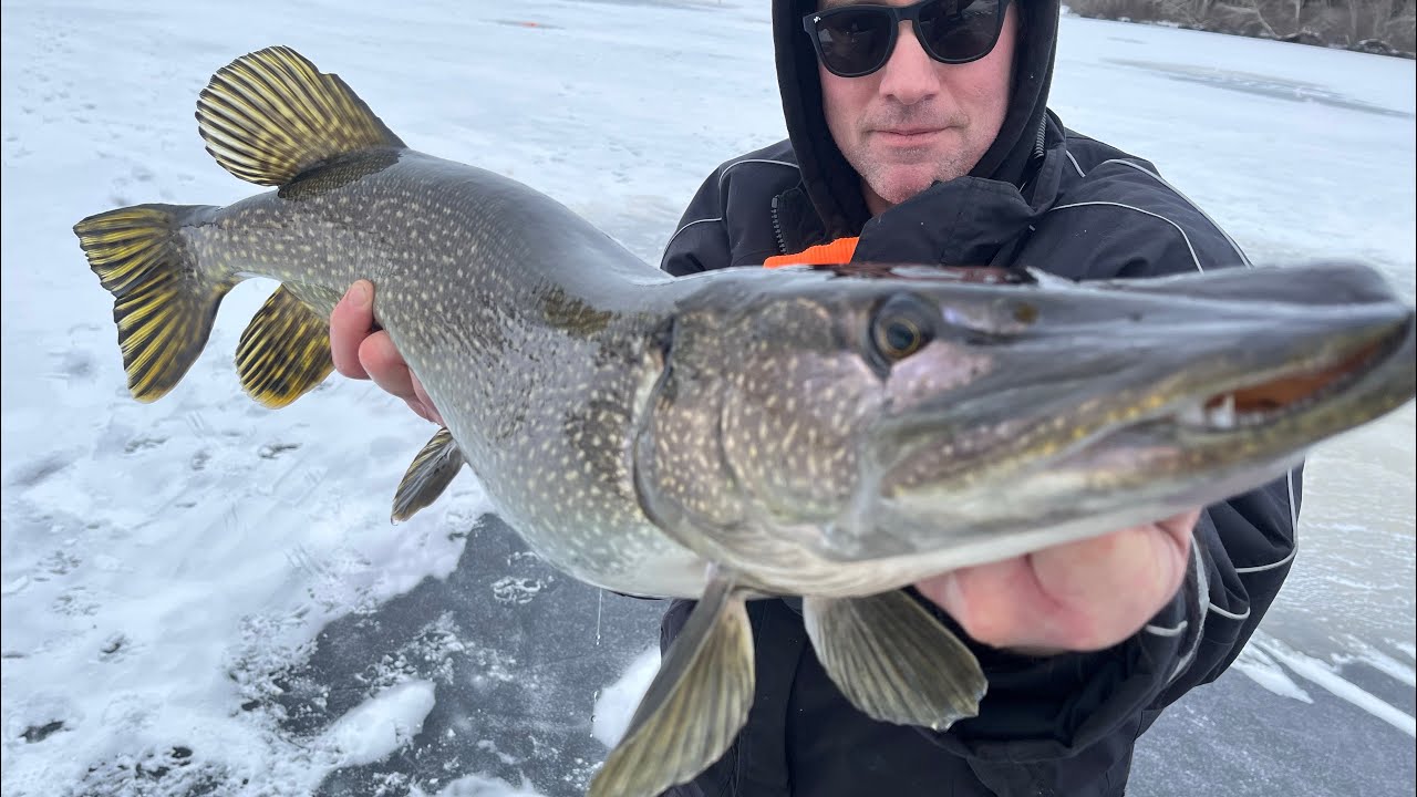 First ice is best!! Dream quality northern pike action with a great buddy using dead baits. 