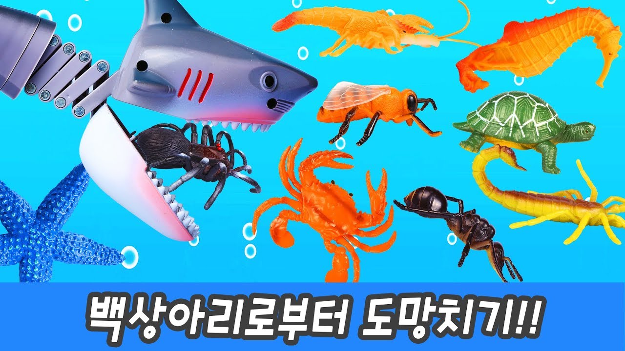 Побег от большой белой акулыㅣназвания морских животных и насекомыхㅣCoCosToy
