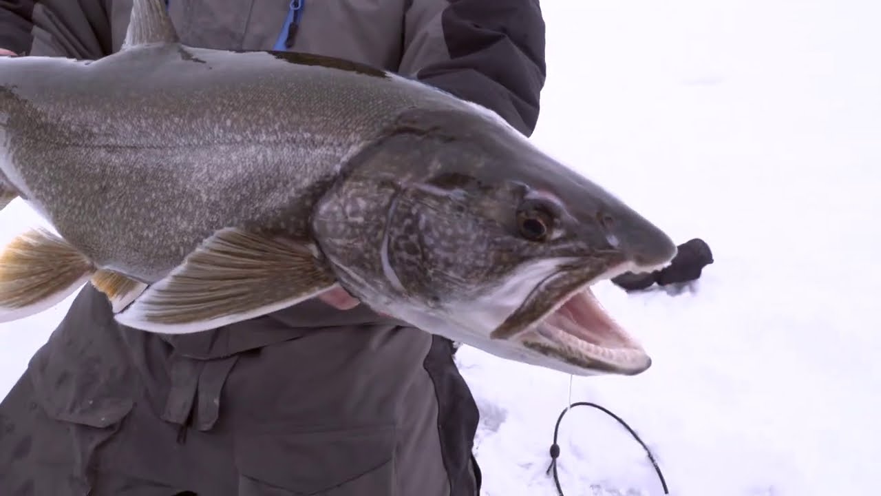 The Best Lake Trout Gear for Ice Fishing