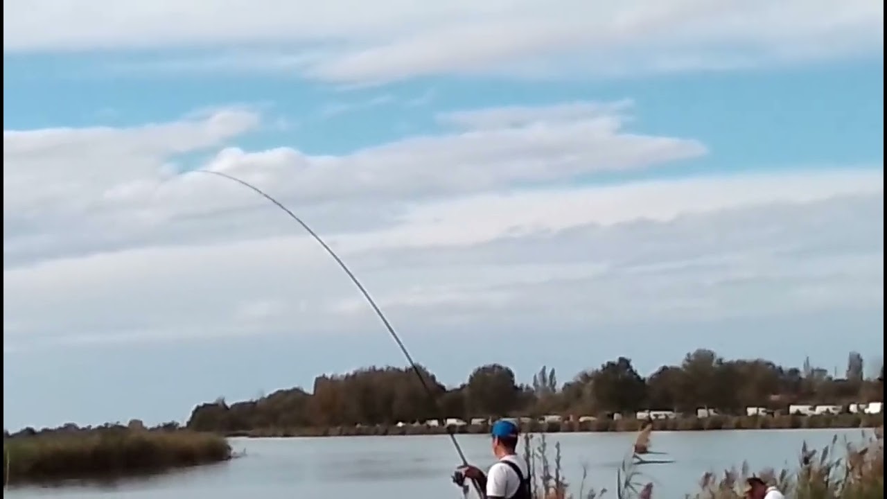 Club Azzurro vallette ostellato carpa 11,5 kg full video colmic royal superior