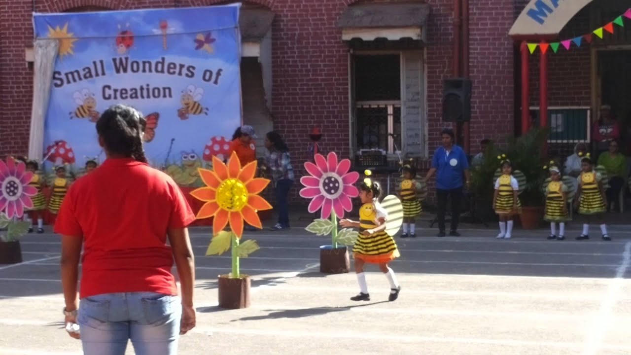 Stashia - Honey Bee Race