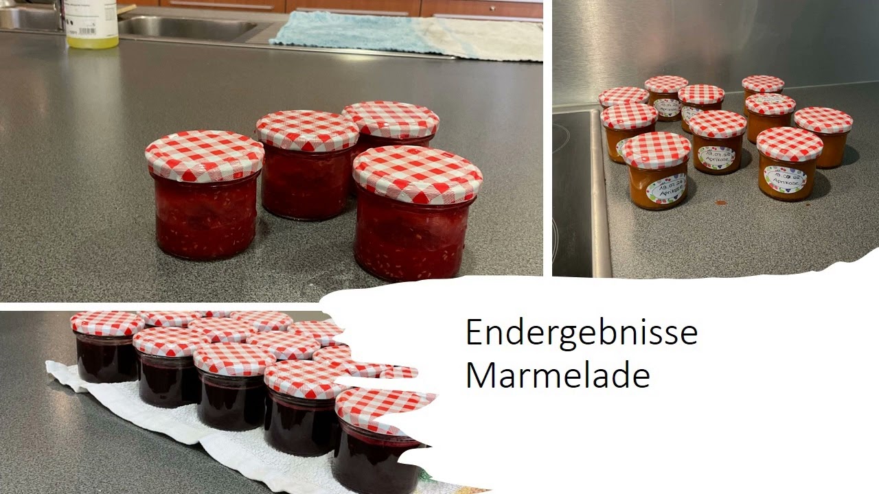 Gesamtschule Battenberg: Projektwoche Juli 2022