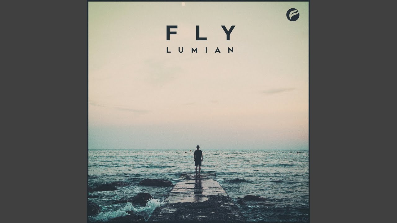 Fly