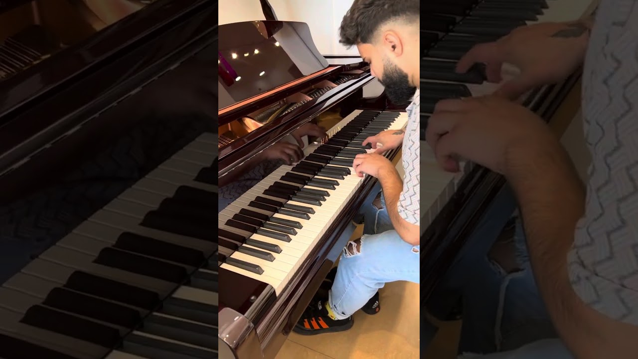 HAILUN akustik royal - “Əlvida” Teymur Əmrah (Bəstəkar: Oqtay Kazımi)