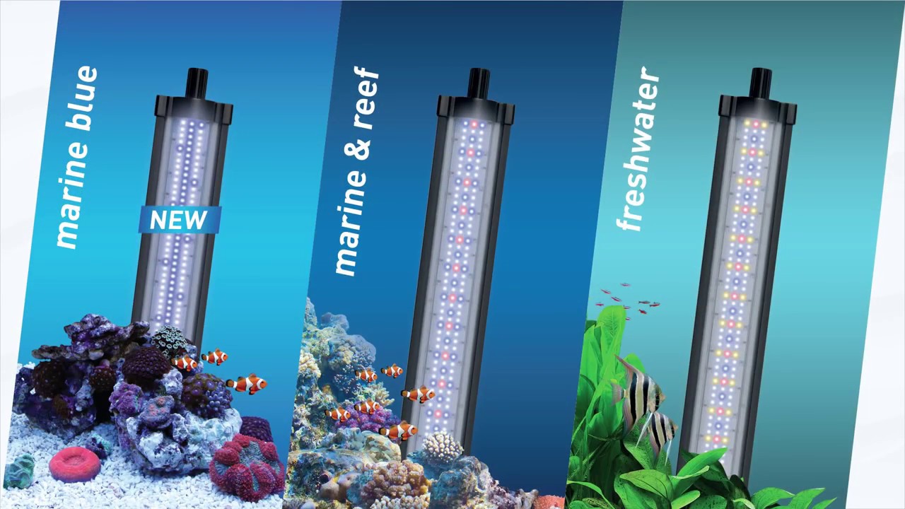 NEW! Aquatlantis EASY LED UNIVERSAL