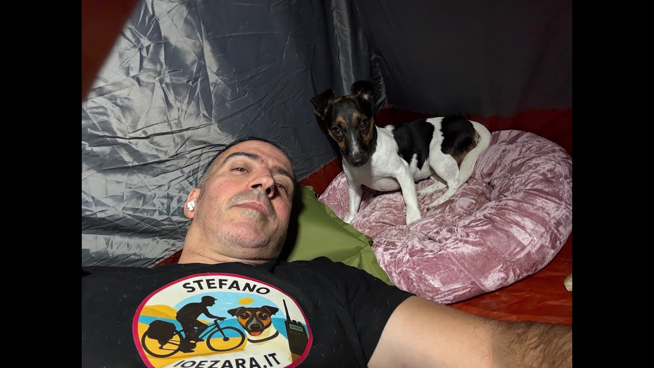 Giro a Bologna con Zara il 23 Settembre 2025 #ioezara #jackrussellterrier #amiciziavera #pets