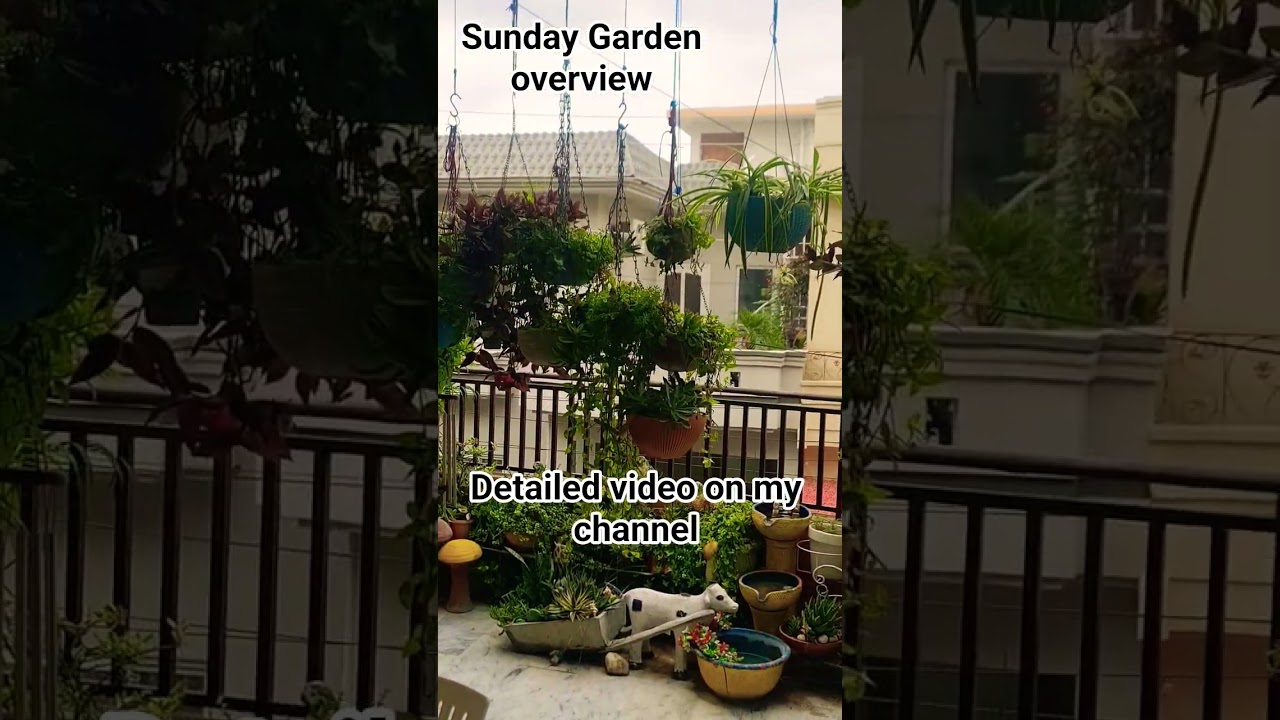 #terracegarden