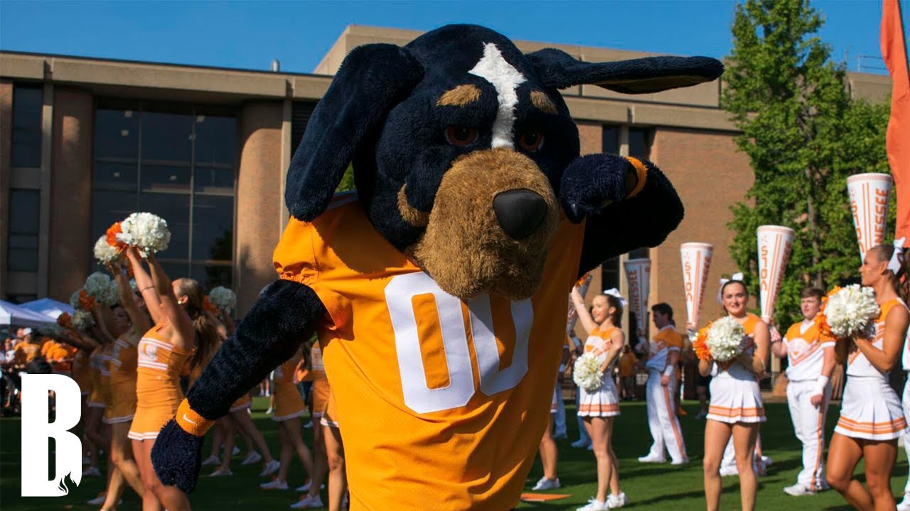 The Spirit of the Tennessee Mascots