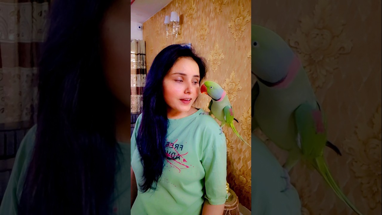 Pablo  Mummy Love❤️ #shorts #parrot #love #trending