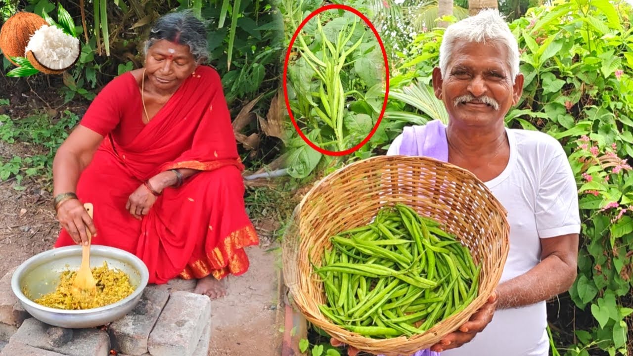 Goru Chikkudu Kobbari Curry Recipe ⁠| గోరుచిక్కుడు కొబ్బరి కూర | Cooking and Farming