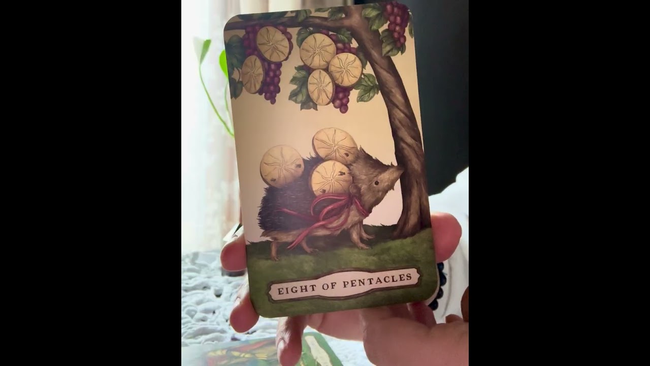 Collective Message- hard work pays off at the end #tarot #relationshipreadings #single #tarotreading