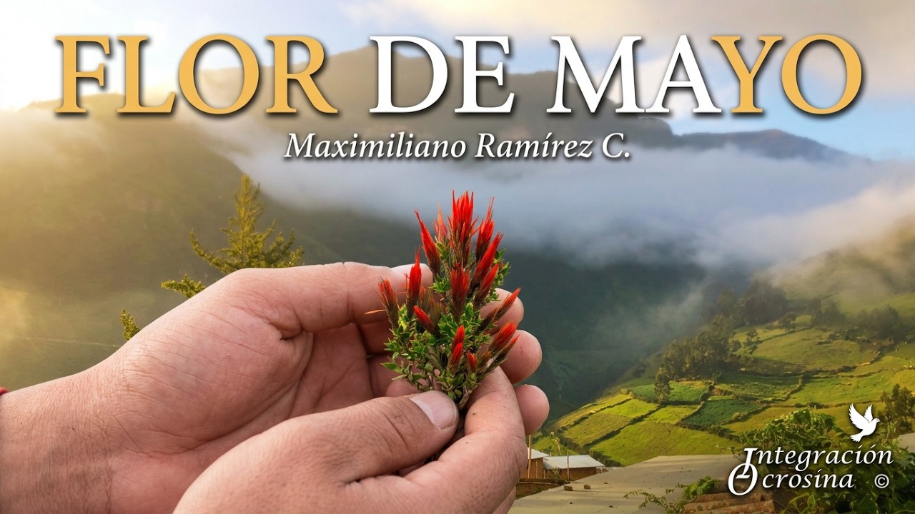 FLOR DE MAYO