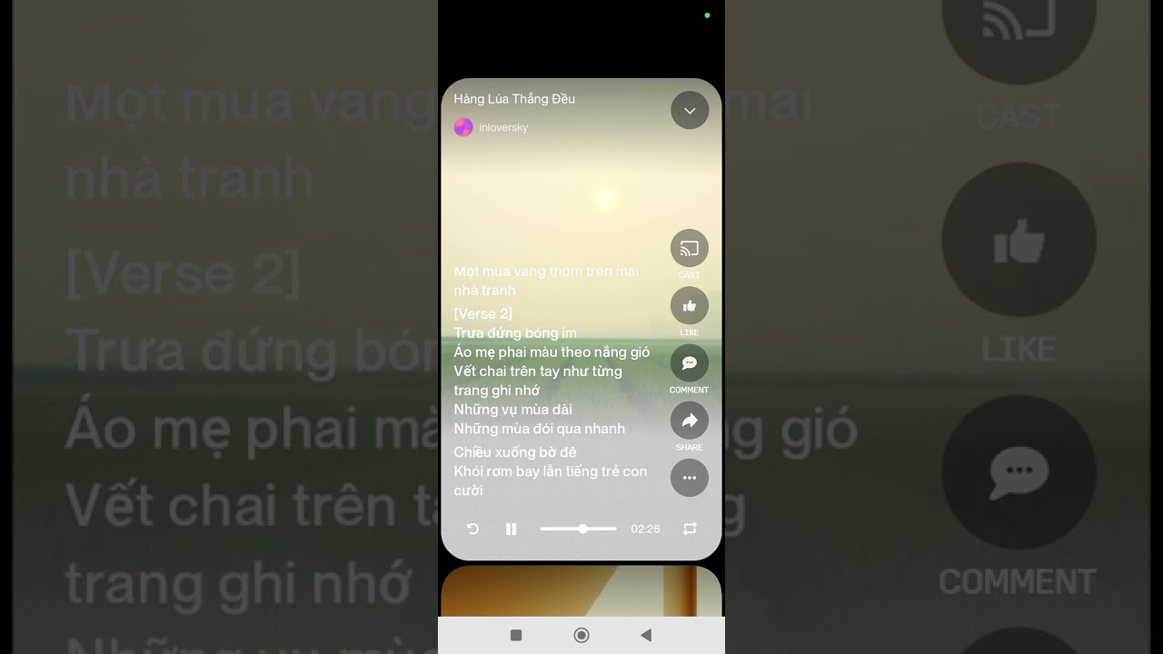 Cấy lúa không chỉ là công việc, đó là nhịp sống bình yên của làng quê