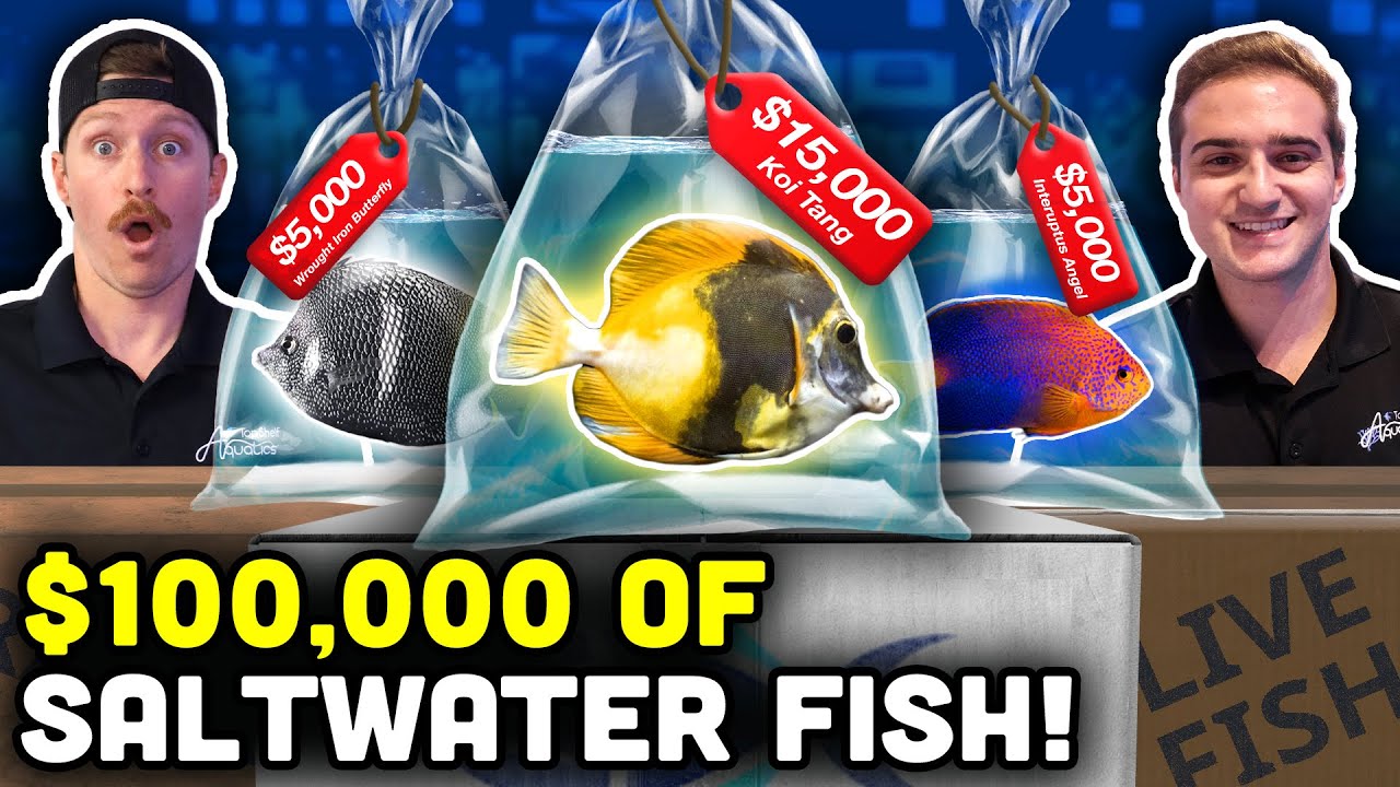$100,000 Saltwater Fish Unboxing! RARE and UNIQUE Saltwater Species!
