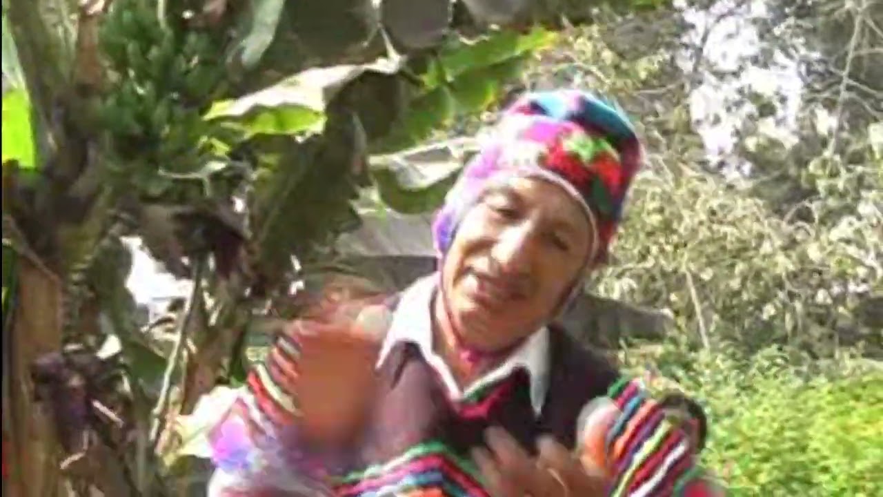 Alabanza muy Bonita Hna: Dida Huayra 👉Conjunto Ríos de Agua Viva Tema: SeñorJesusmi kallpanchallawan