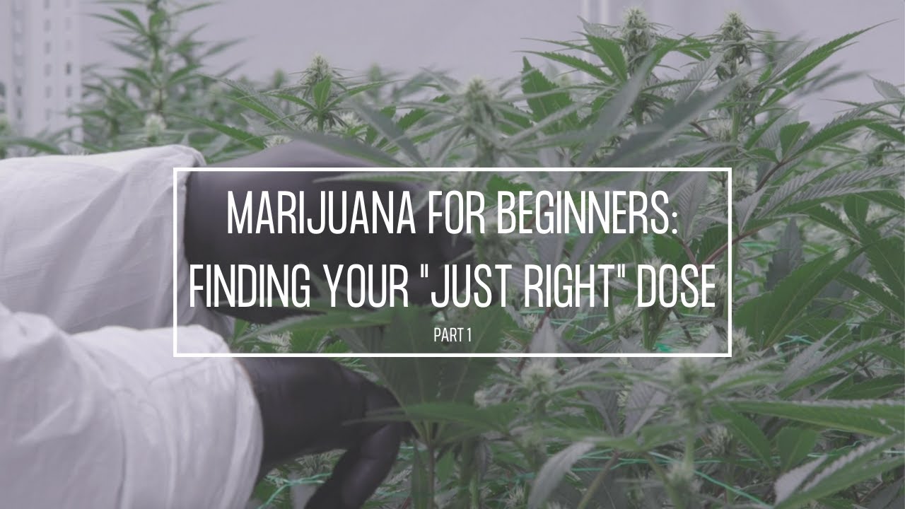 Medical Marijuana for Beginners (Part 1): Finding Your 