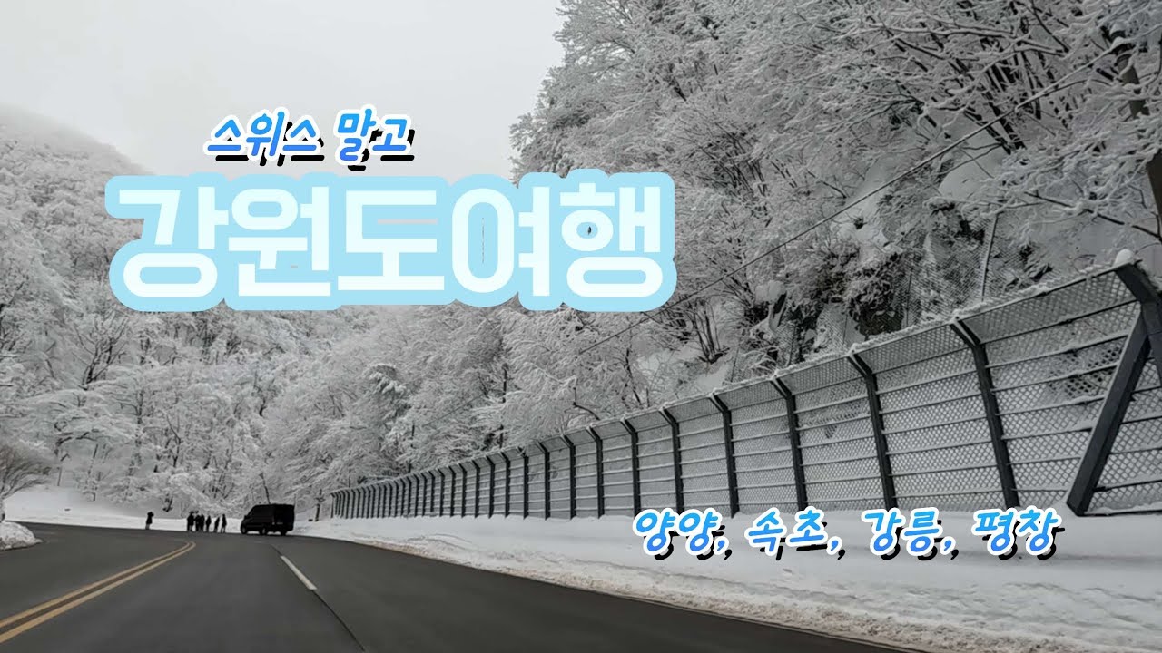 국내 겨울왕국 강원도여행, 맛집, 숙소 (양양, 속초, 강릉, 평창)
